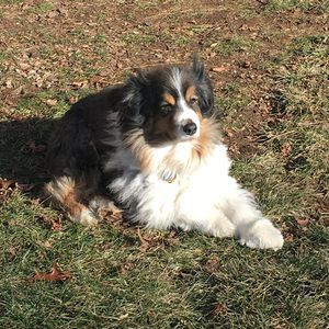 Meet your Posher, Gary